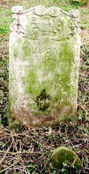 HARVEY Lucy 1835.jpg